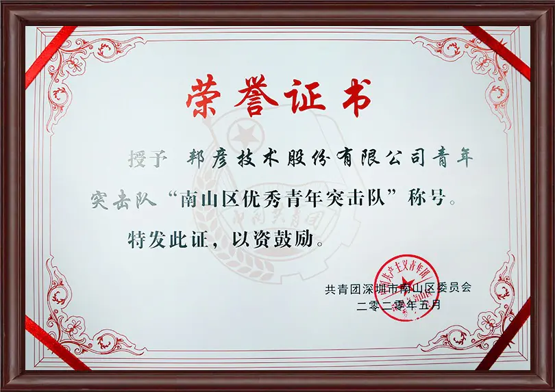 共青团南山区优秀青年突击队