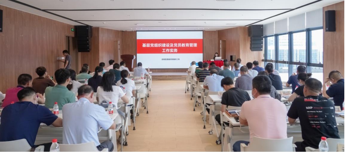 “头雁领航筑堡垒 党建铸魂促发展”——园山街道“两新”组织提质赋能培训班在邦彦技术圆满举办 1